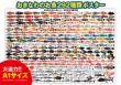 おきなわのお魚292種類 A1ヨコ ポスター【大型】
