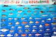 県魚ポスター「美ら海　おきなわの魚さかな魚」ラミネート加工【大型】