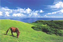 山下峰冬ポストカード　MY-P009 与那国島