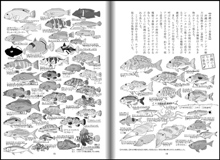 図解と写真でわかる　沖縄のルアーフィッシング　陸っぱり編