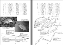 図解と写真でわかる　沖縄のルアーフィッシング　陸っぱり編