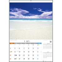 Eco Island 美ぎ島 宮古島 2026年カレンダー  A2サイズ【大型】