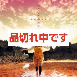 【神谷千尋】やさしさのカケラ【CD】