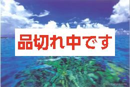 山下峰冬ポストカード　MY-P002　新城島