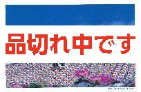 北島清隆ポストカード　「シーサー」