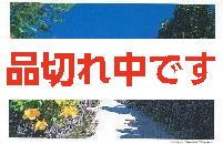 北島清隆ポストカード　「竹富カズラ」