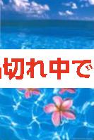 北島清隆ポストカード　「プルメリア」