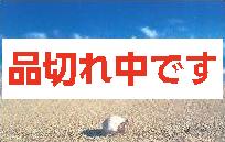 北島清隆ポストカード　「ヤドカリ」