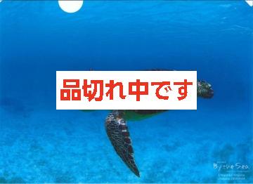 北島清隆クリアファイル　「ウミガメ」