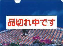 北島清隆クリアファイル　「シーサー」