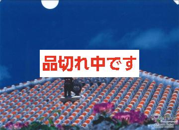 北島清隆クリアファイル　「シーサー」