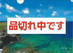 北島清隆クリアファイル　「万座毛」