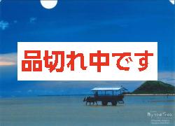 北島清隆クリアファイル　「由布島」