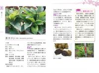 琉球薬草誌