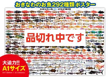おきなわのお魚292種類 A1ヨコ ポスター【大型】